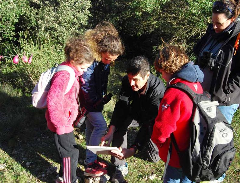 Les petits aventuriers de la forêt_Toulon