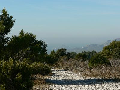 La chapelle Saint André, Roquefort-la-Bédoule - photo 4