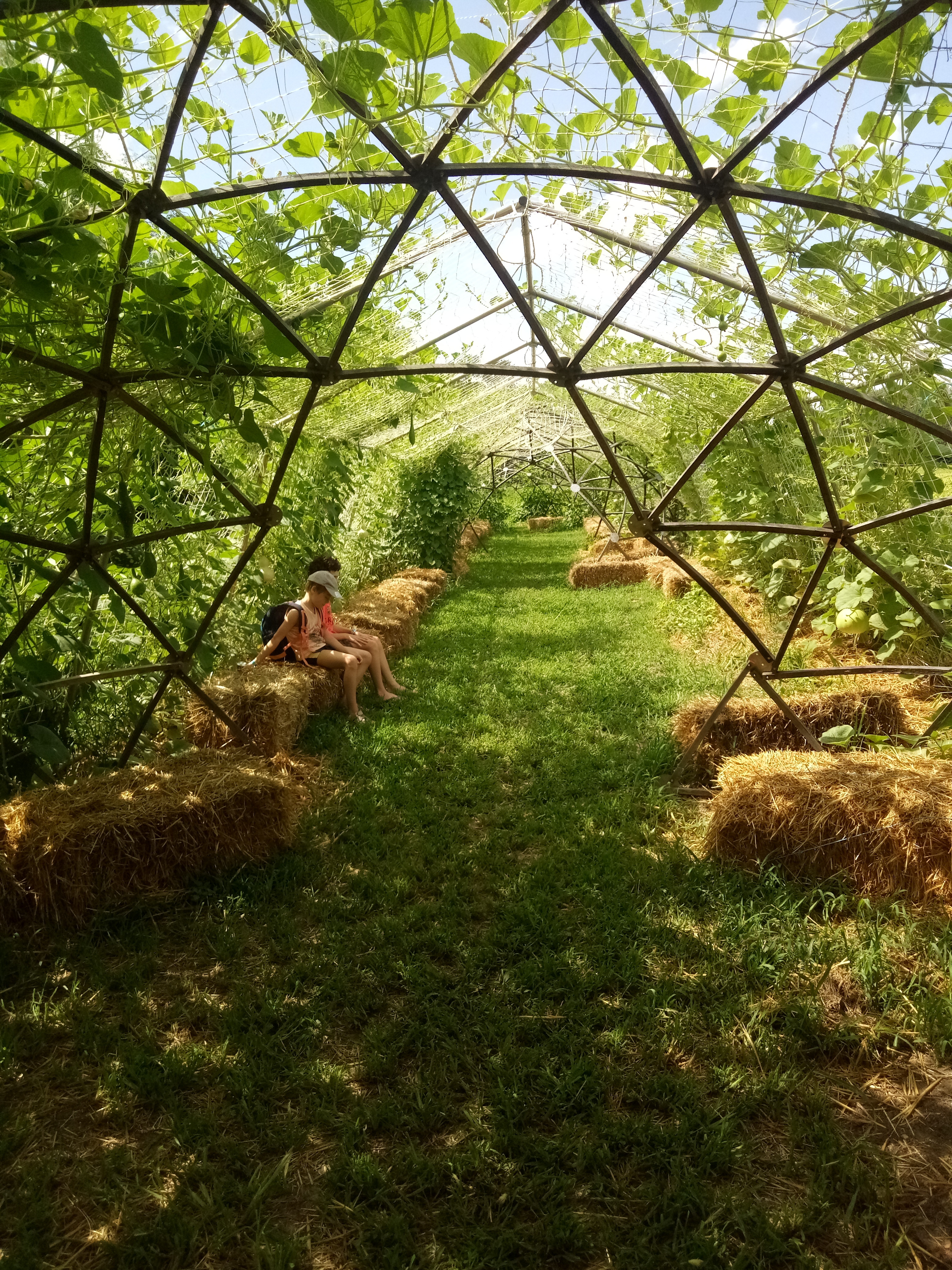 Les jardins respectueux | Rendez-vous aux jardins