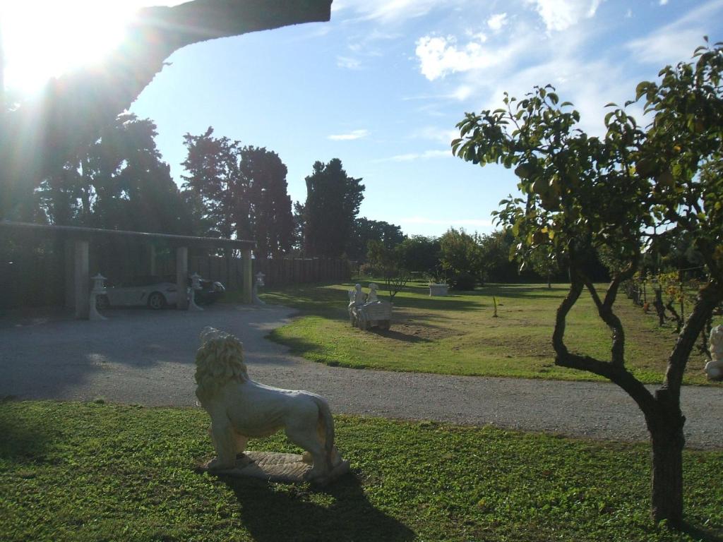 Le Mas des Retrouvailles - photo 4