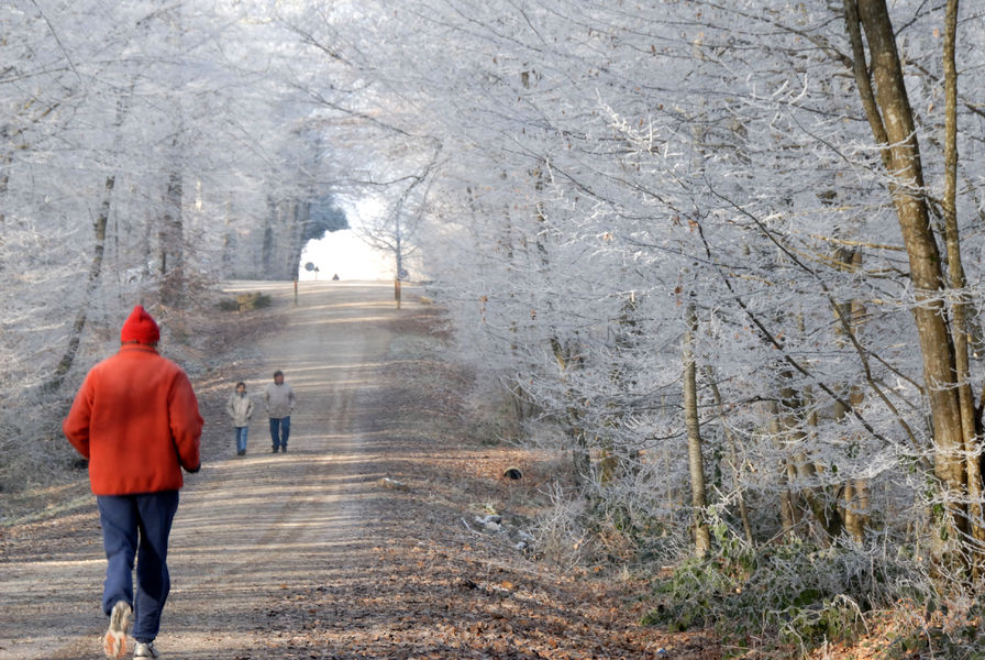 givre-et-promeneurs-Seillon_credit-Serge-Buathier-Ville-de-Bourg-en-Bresse