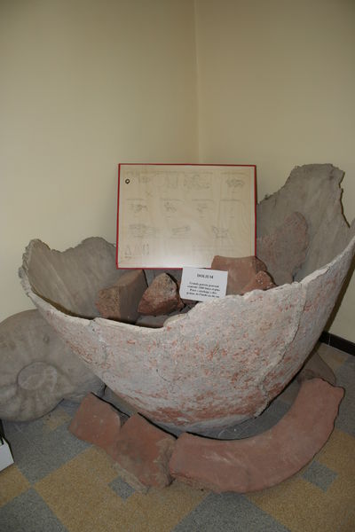 Musée de pays - Archéologie et Paléontologie - Valréas
