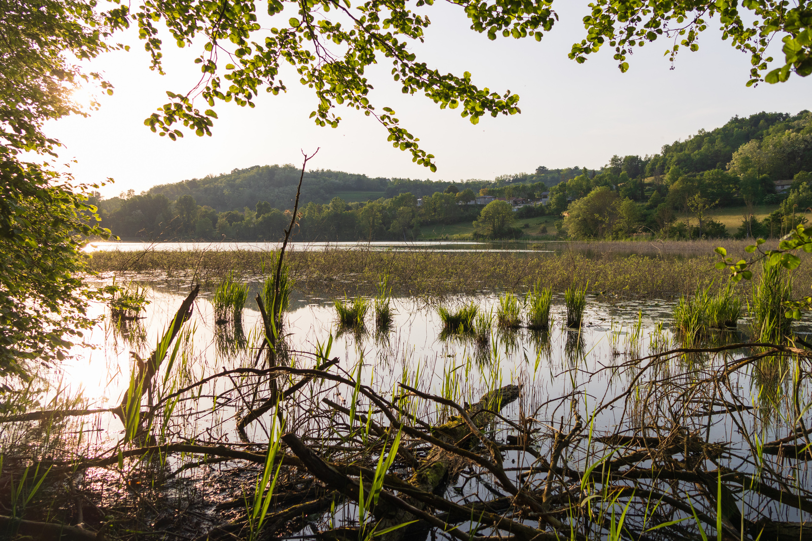 etang_de_montjoux-9.jpg