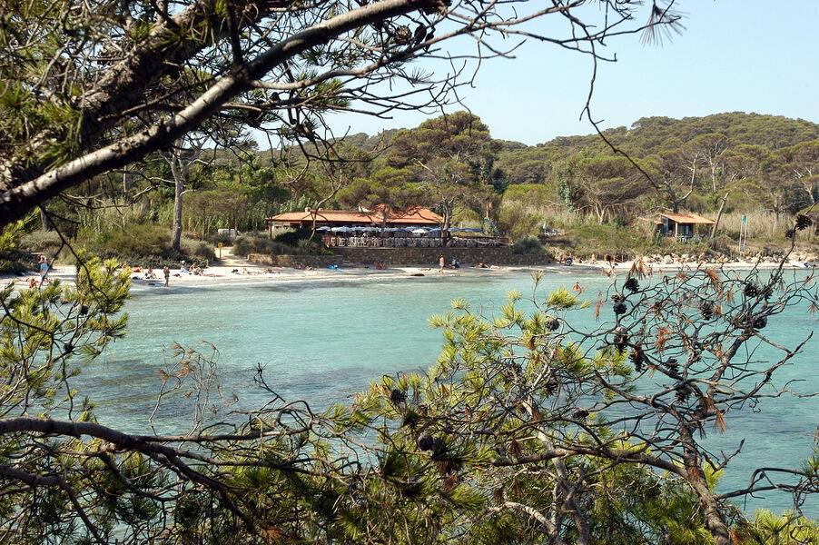 La plage d'argent - Porquerolles