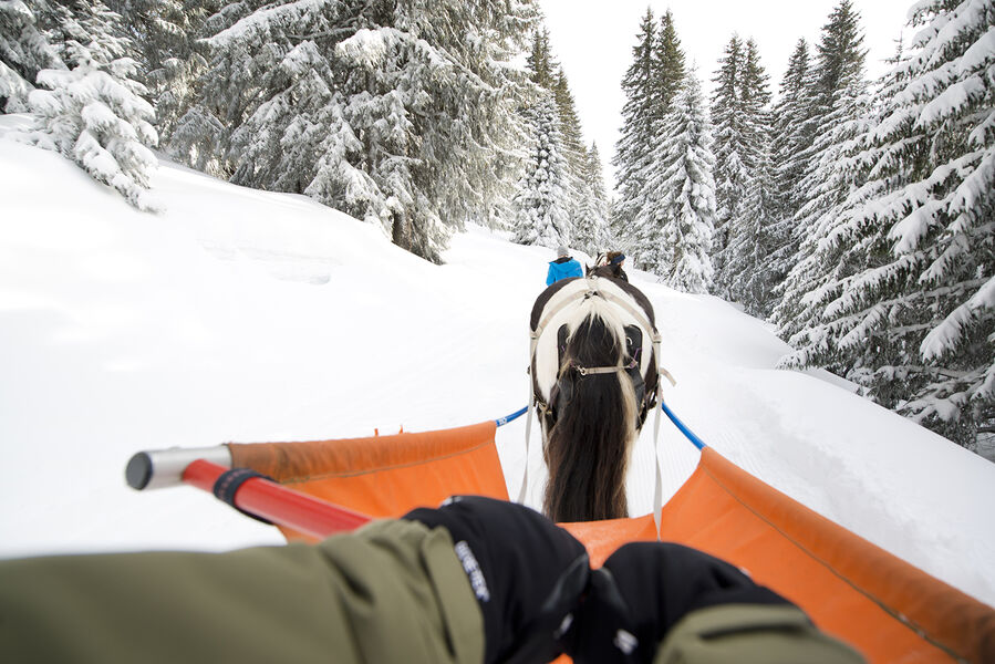 Ski Joëring Avoriaz