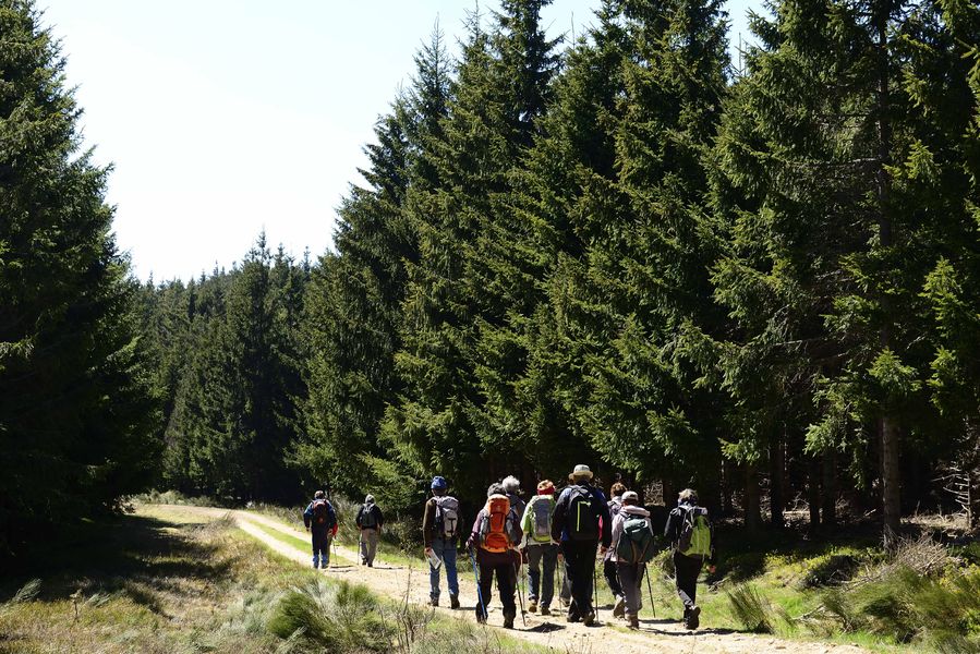 Cevenne et Montagne Ardéchoises