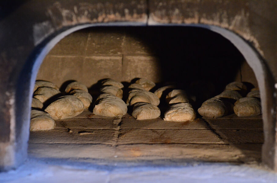 Ferme Le Mollard à Neuville les Dames