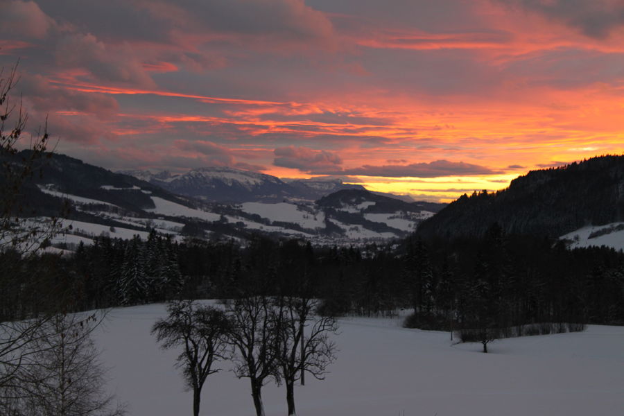 meublé_FLOCH_Florence