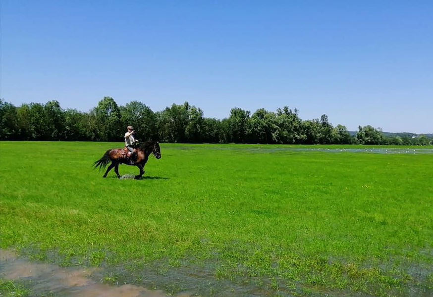Circuit des Prairies du Val de Saône