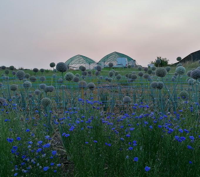 Graines d'avenir, producteurs des Balcons du Dauphiné