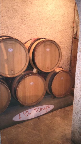 Domaine du Pressoir Fleuri à Chiroubles