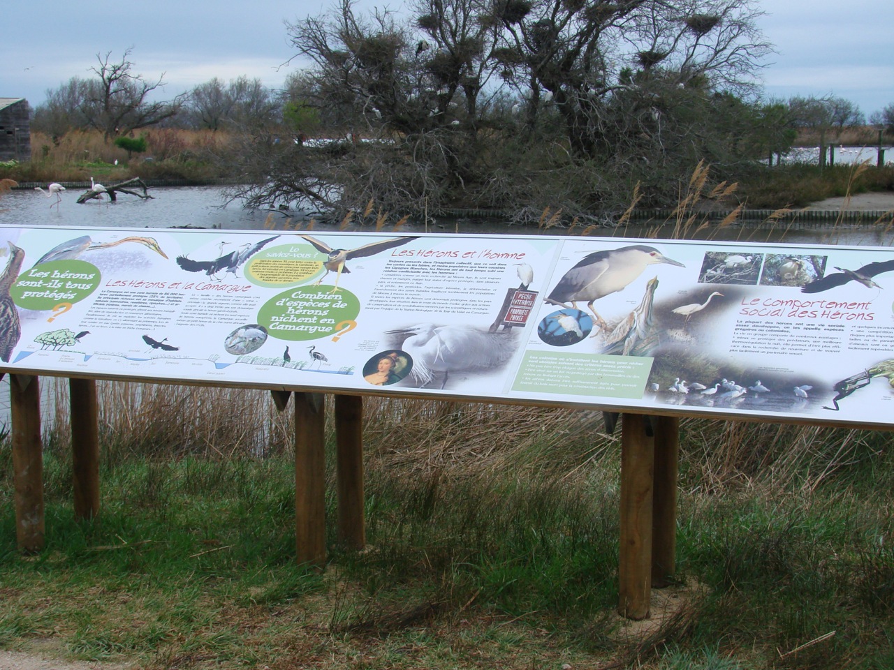 Sentier du Parc ornithologique de Pont de Gau