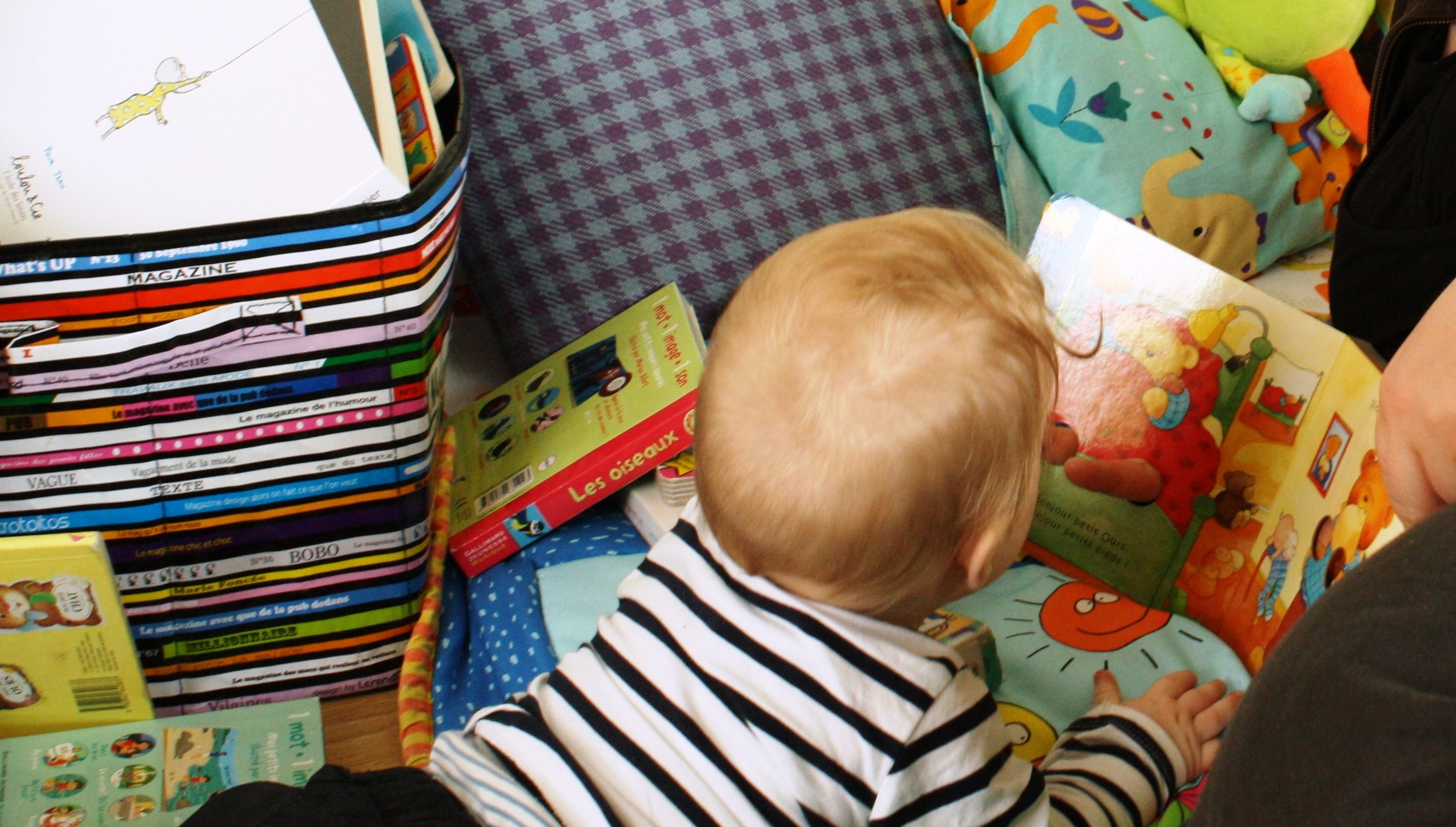 Rencontre Bébés lecteurs en plein air (et pique-nique tiré des sacs)