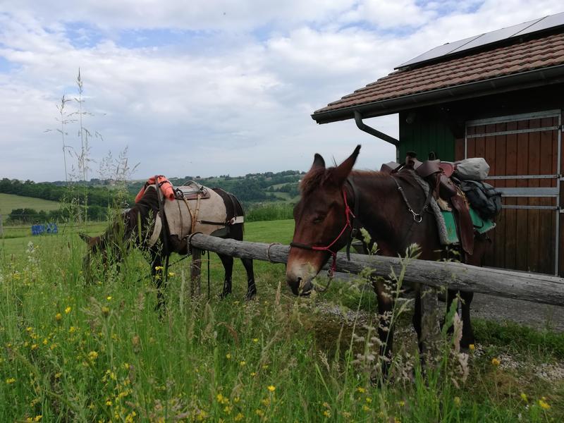Circuit Bièvre Chambaran