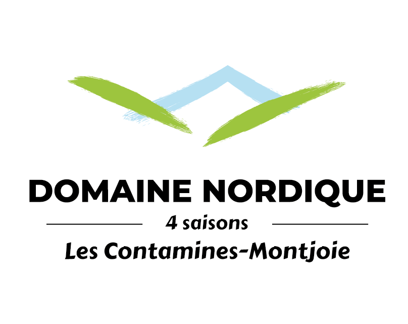 LogoDomNordiqueConta-COULEUR
