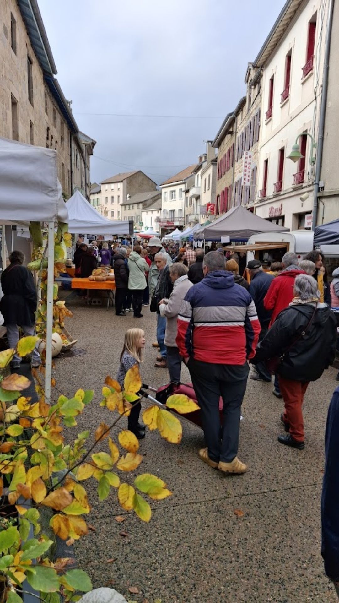 Fête de la courge - L'Automnal gourmand/Fête de la Science