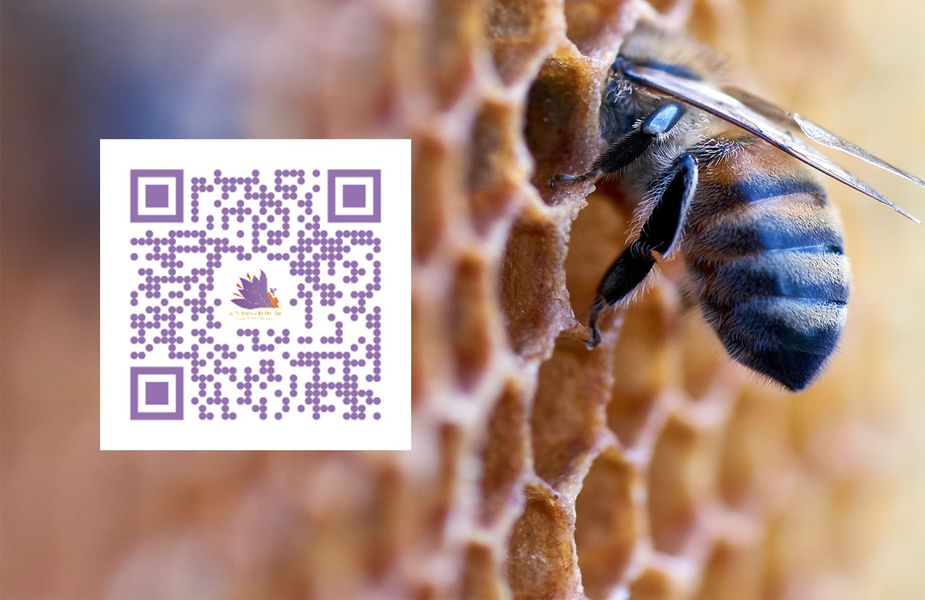 Le Safran de la Dombes à Faramans