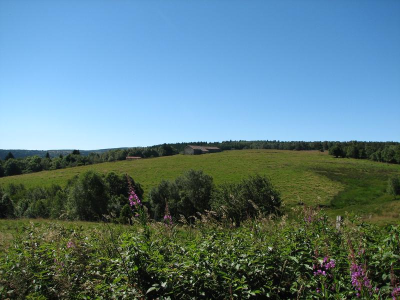 Journée européenne de l'archéologie_Usson-en-Forez