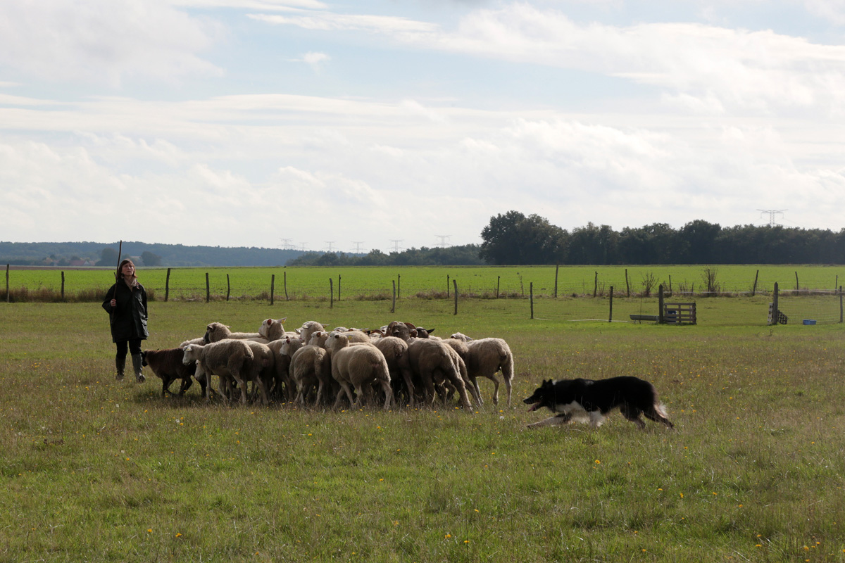 La Ferme de Beaumont