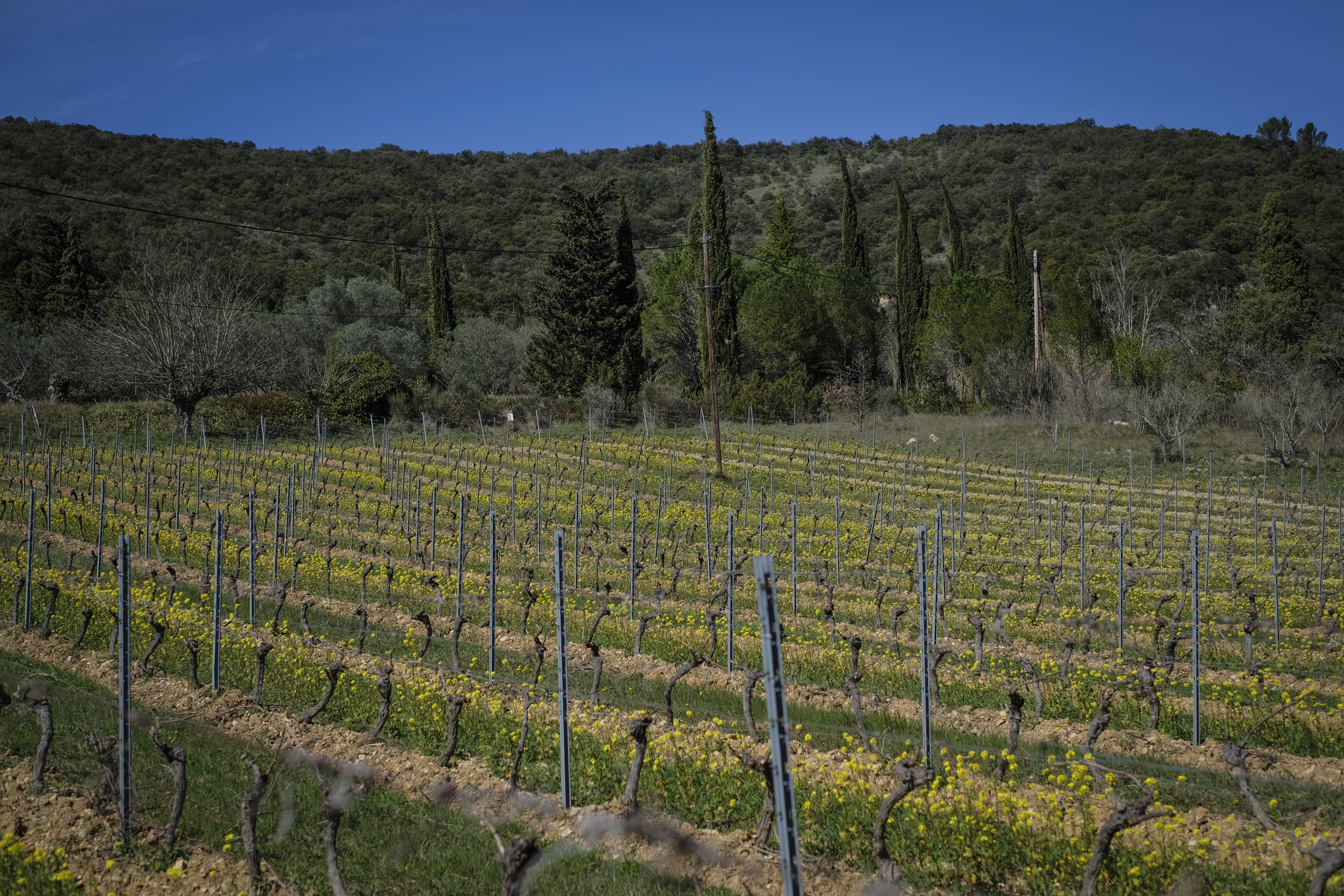 nARDECHE_Vin╠âedos_21