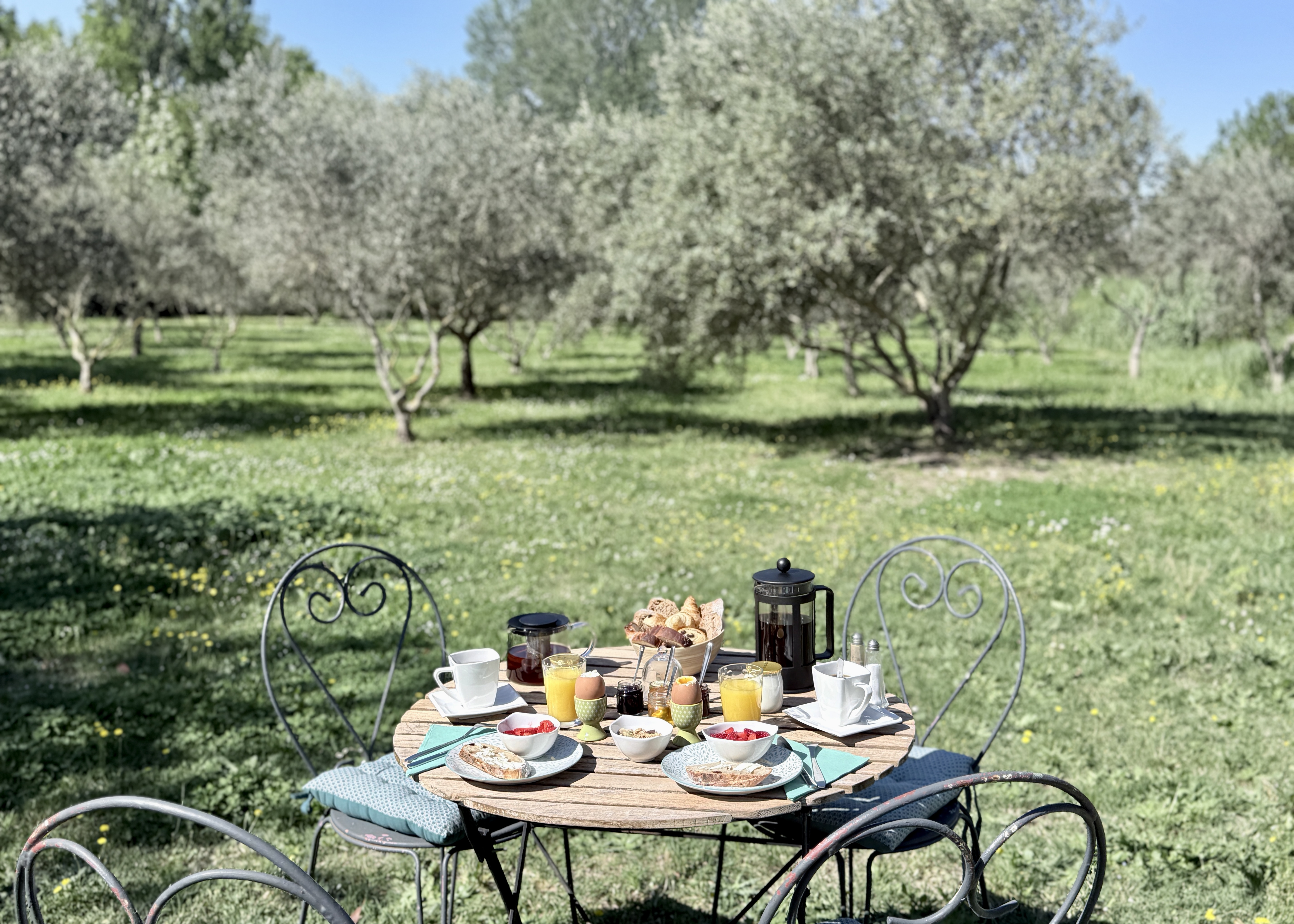 Domaine au Cœur des Alpilles, Maussane-les-Alpilles - photo 13