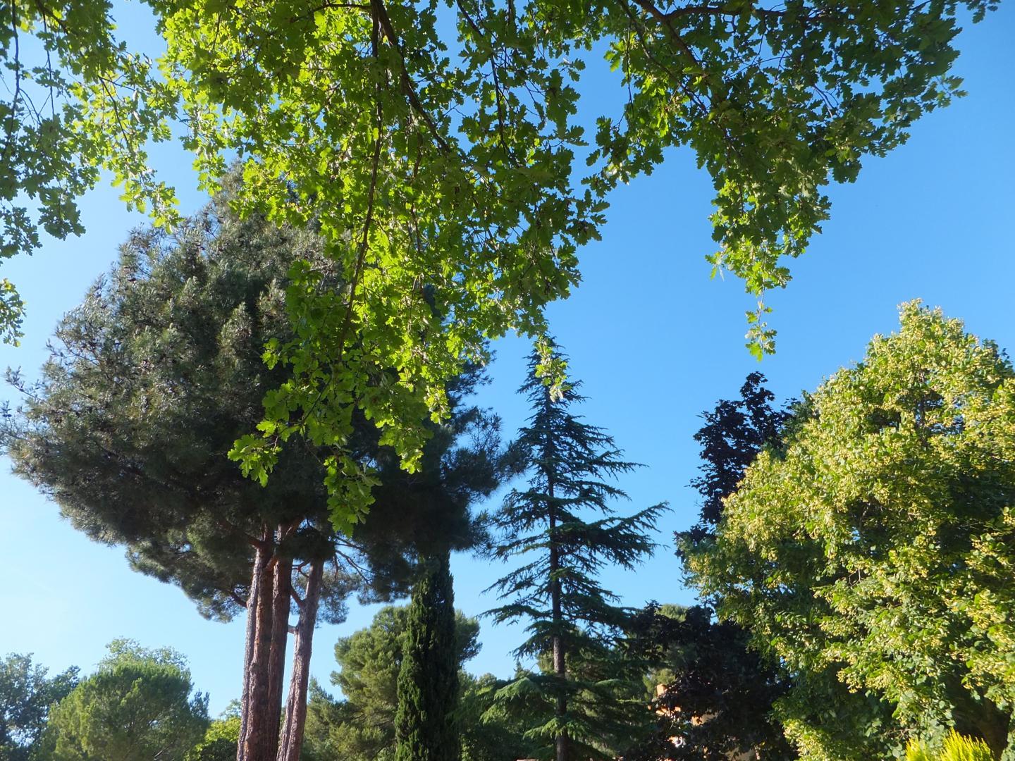 Le Clos Des Oliviers, Saint-Cannat - photo 13