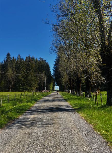 Le Plateau de Retord entre combes et cols