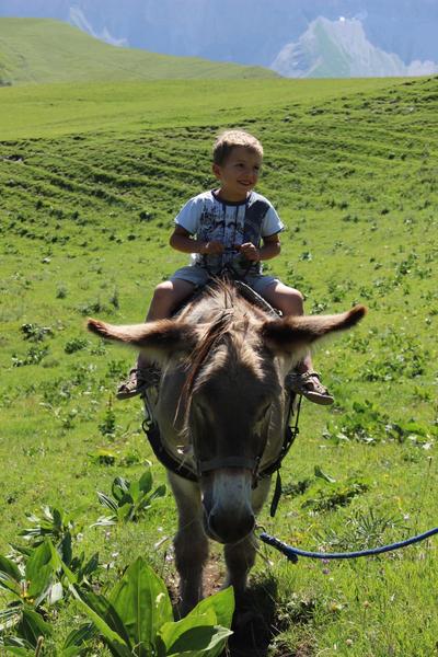Au Pas de l'Ane en Trièves  - Séjour Sans Voiture_Saint-Martin-de-Clelles