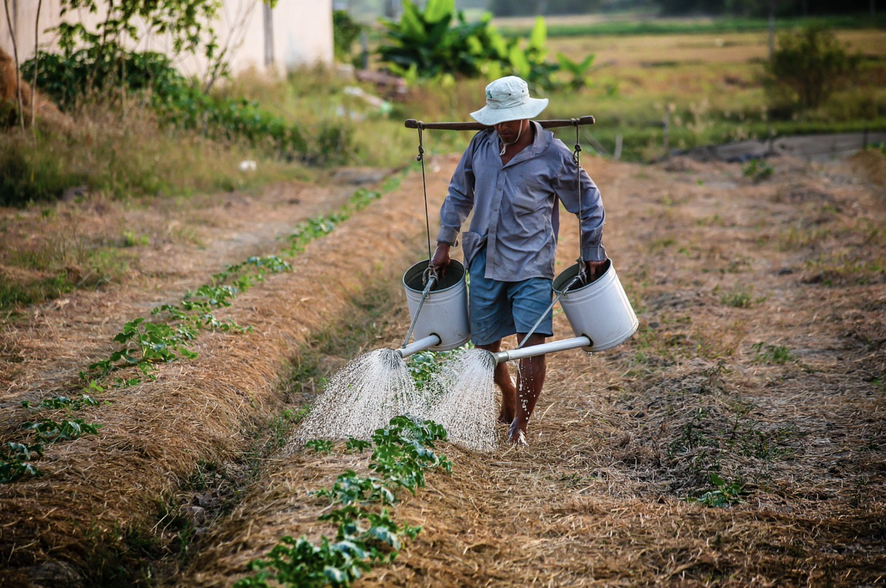 Producteur La Ferme de Santigny