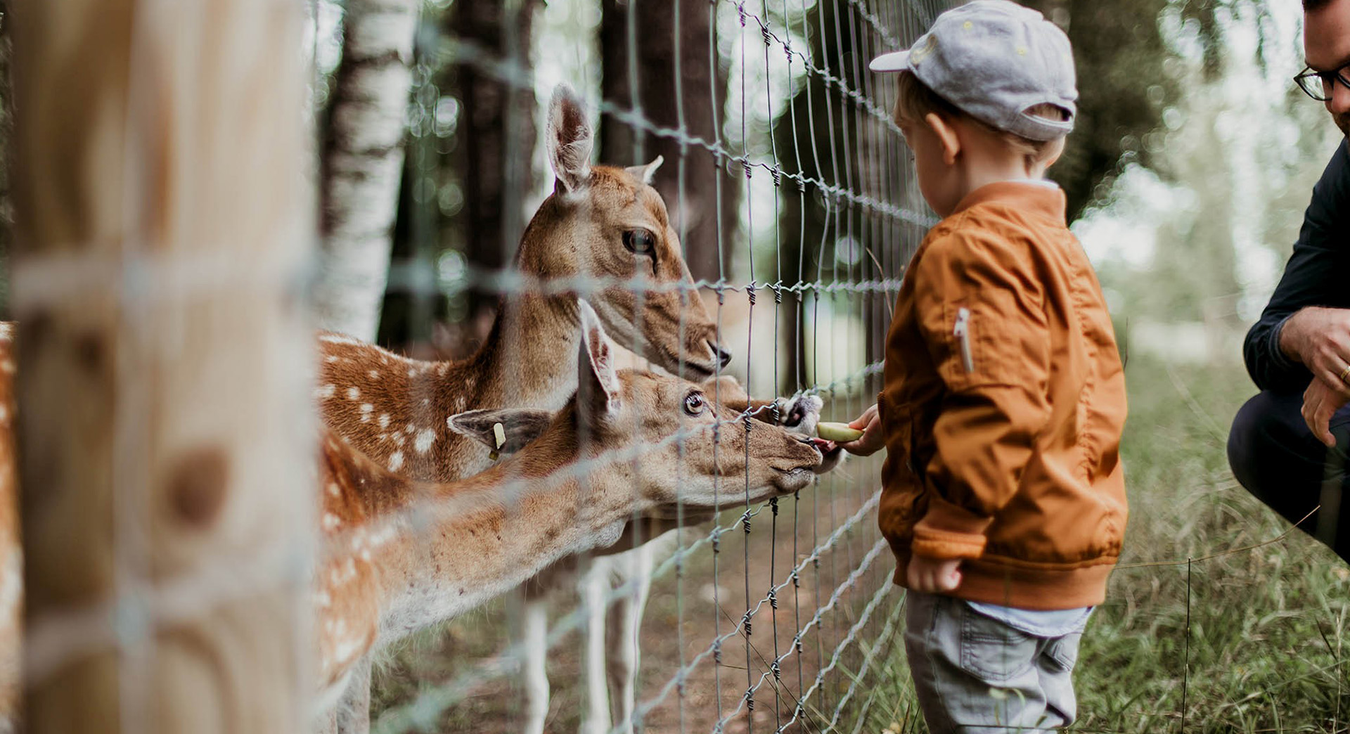 Parc Animalier - L'Arche de Méo, Mollégès - photo 9