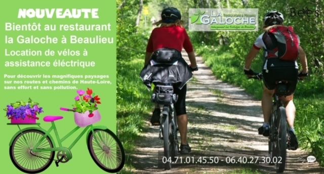 visuel loc velo 2 IMG_9423.JPG