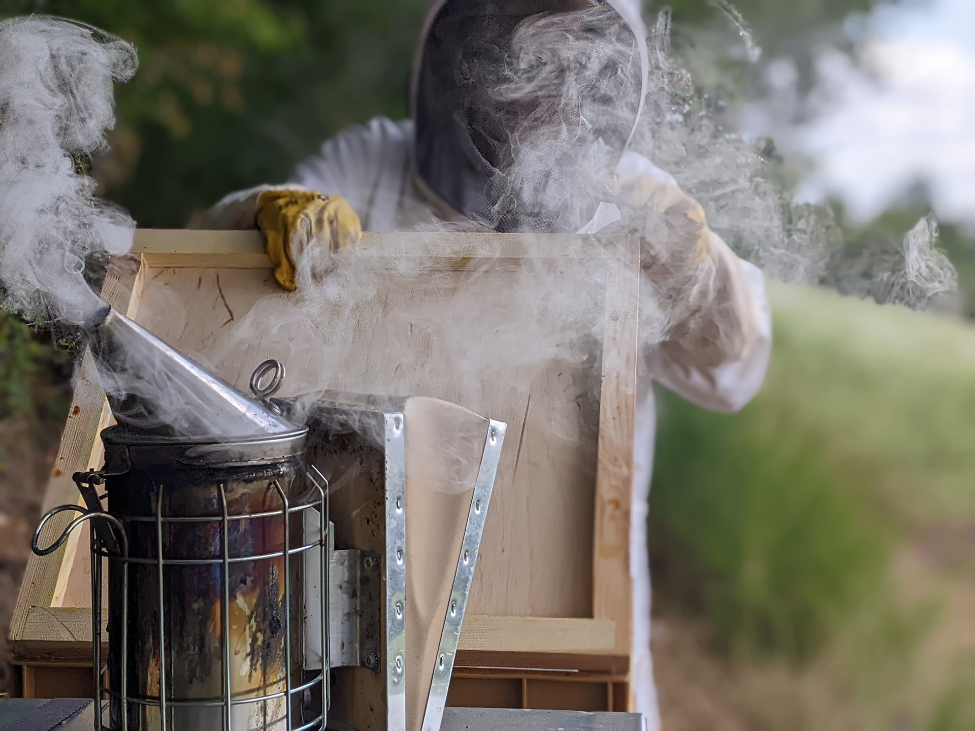 Baptême d'apiculture_Lafermemiélifique_Mornant