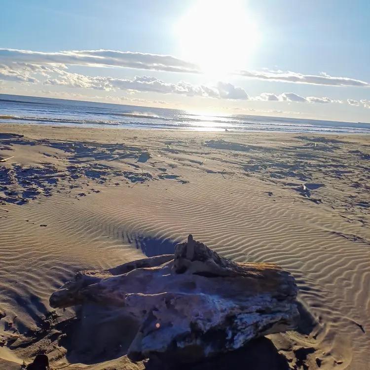 Le Grand Pêcheur, Saintes-Maries-de-la-Mer - photo 16