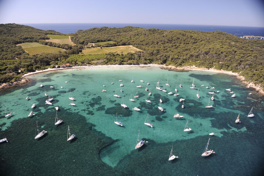 La plage d'argent - île de Porquerolles