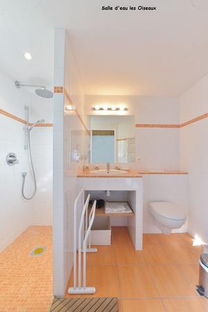 Une salle d'eau avec douche de plain pied, lavabo et toilette.
