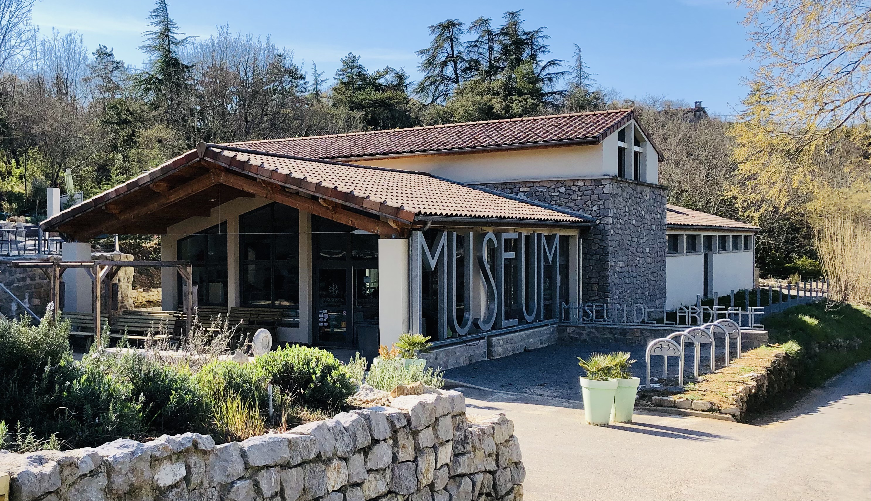 Atelier au Muséum - Extraction de fossiles