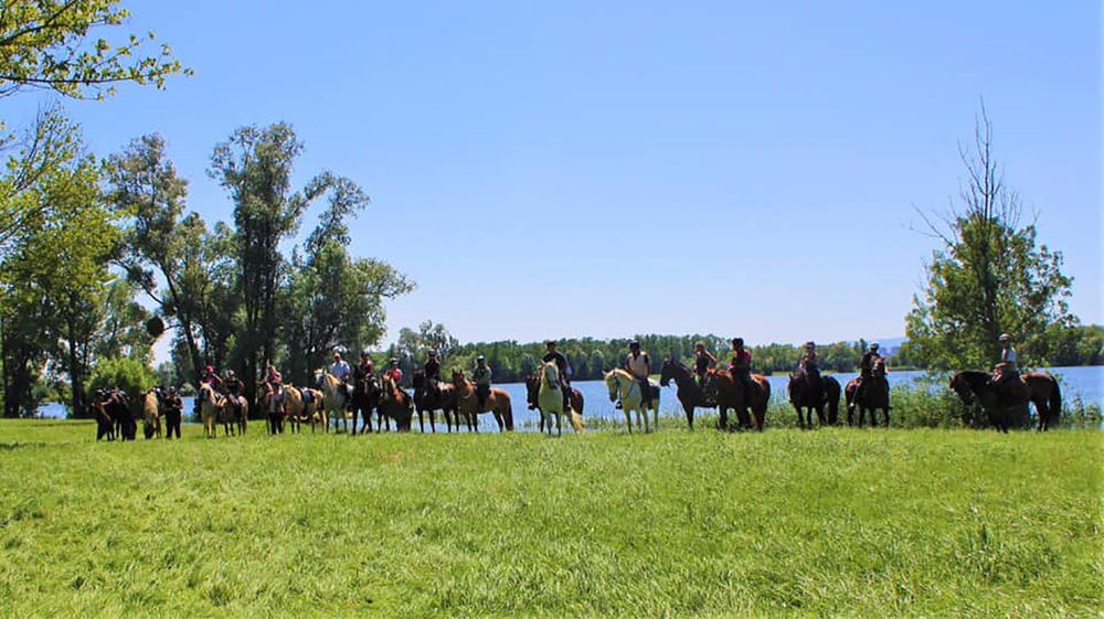 Circuit des Prairies du Val de Saône