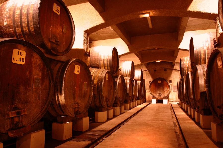 Visite des chais Cellier des Princes