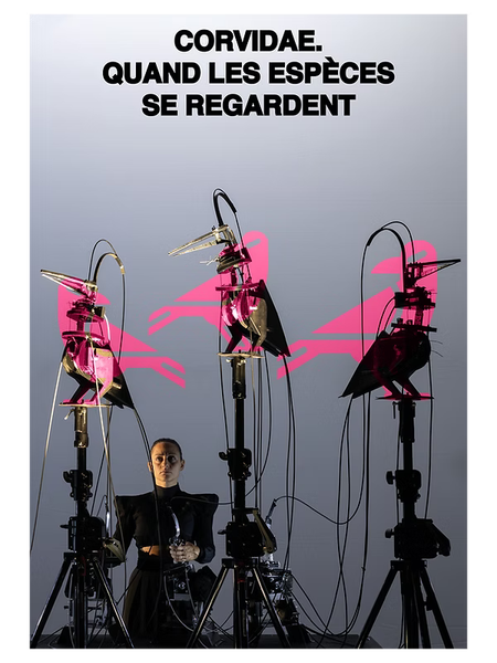 Spectacle 'Corvidae'_Briançon