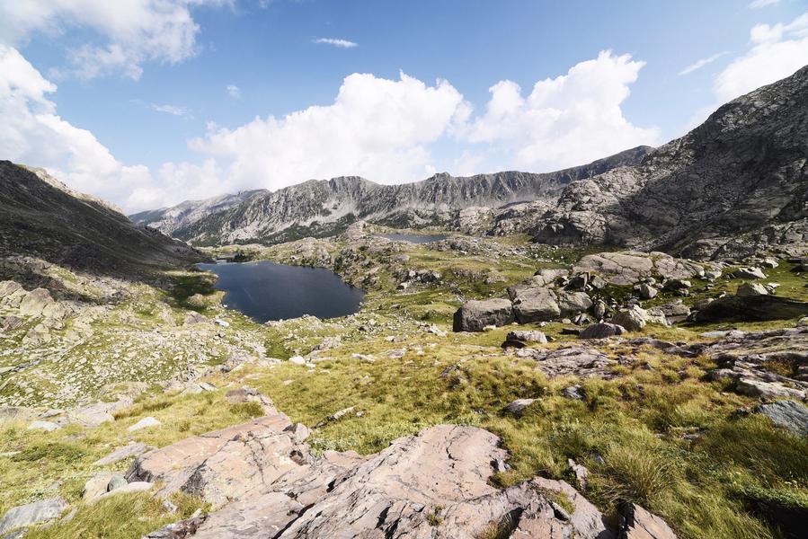 Visite guidée régulières des gravures rupestres de la vallée des Merveilles et de Fontanalba Visite guidée régulières des gravures rupestres de la vallée des Merveilles et de Fontanalba