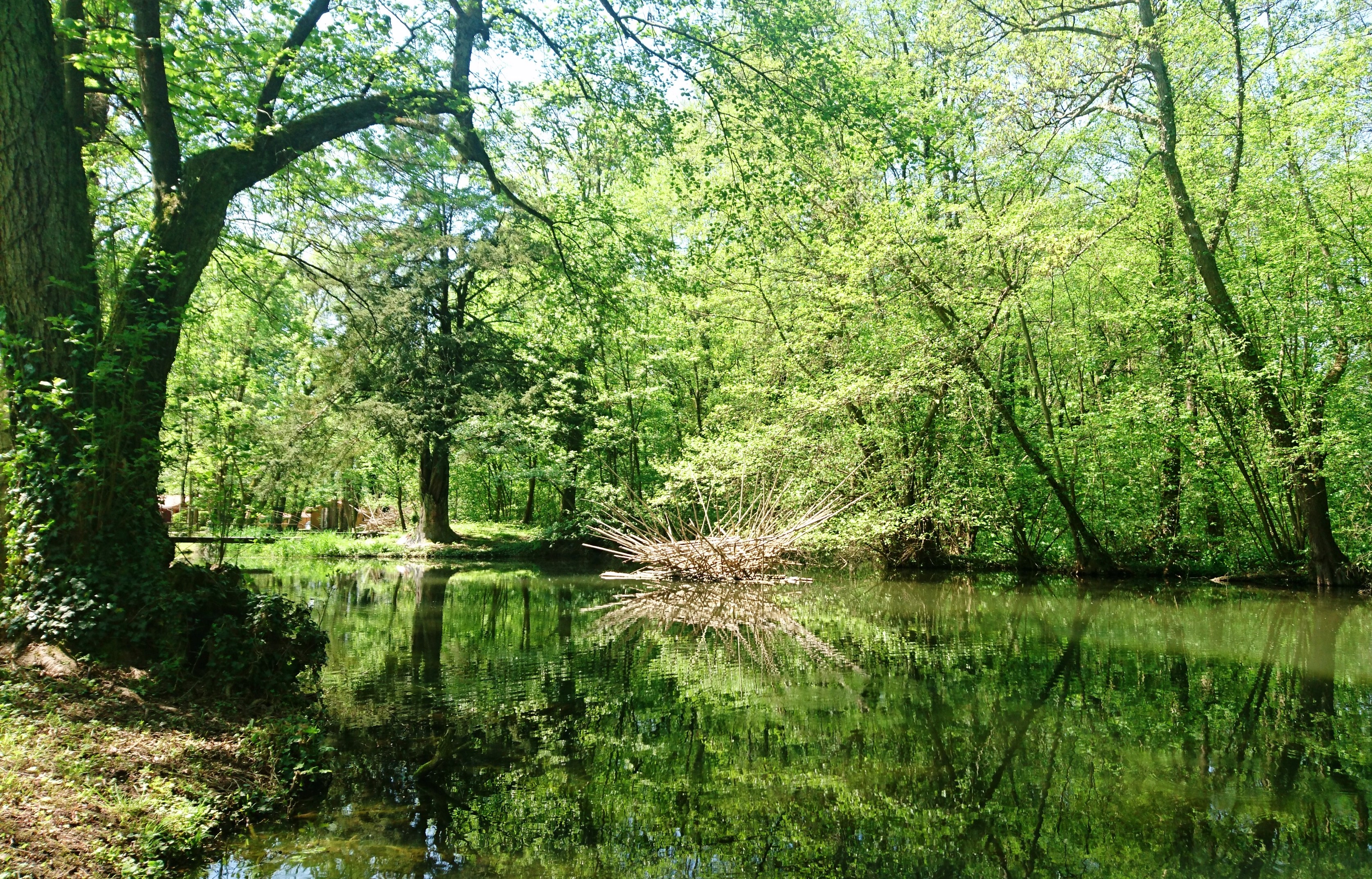 L'étang du parc