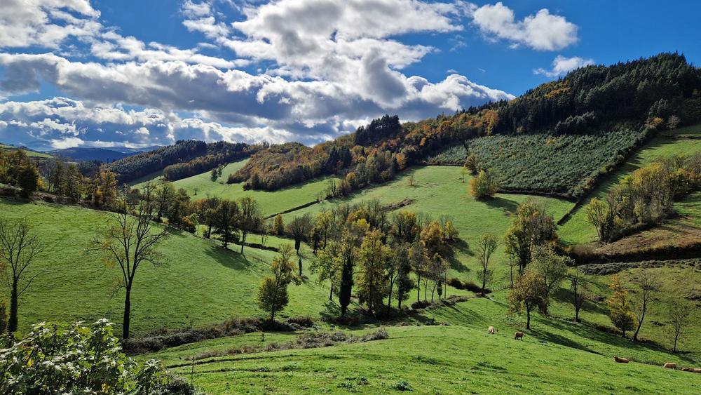 Gîte du Grand Peisselay à VALSONNE (Rhône - Beaujolais Vert) : la vue fabuleuse du gîte