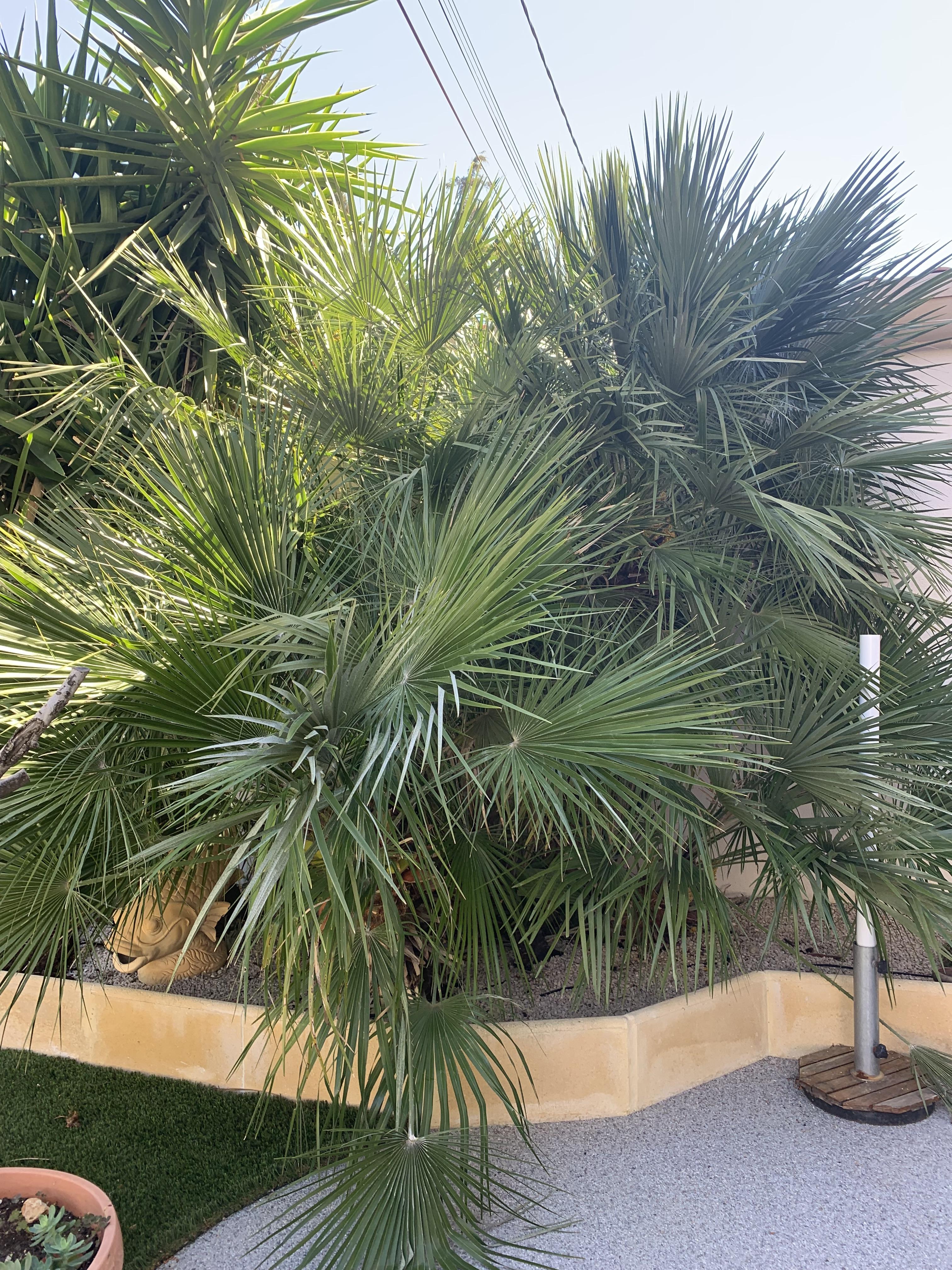 Villa Tigre — photo 3