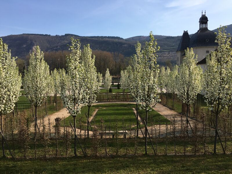 Parc du Château dit Moderne - Vertrieu