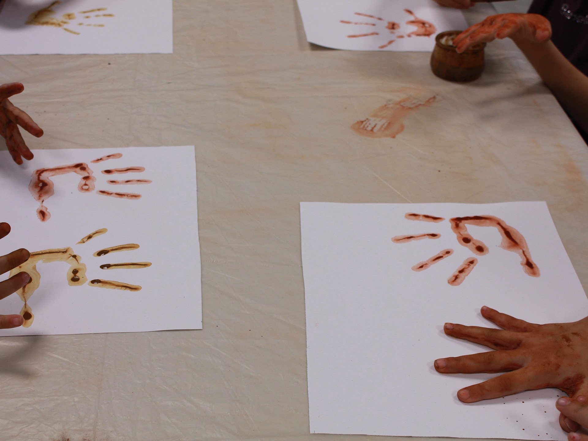 Muséum d'Histoire Naturelle