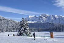 Photo domaine nordique Plateau de l'Arselle Chamrousse