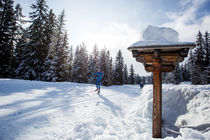 Le paradis du ski nordique (skating ou alternatif)