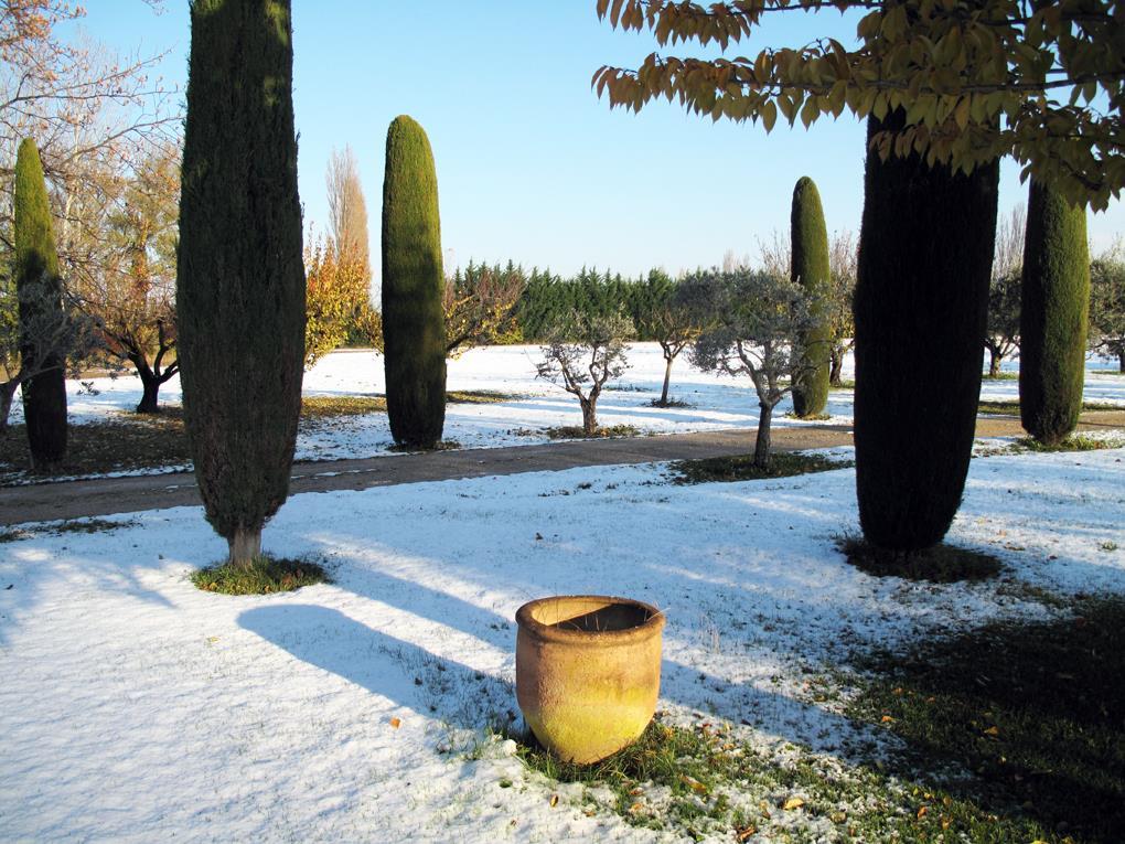 Villa Mélodie, Mollégès - photo 6