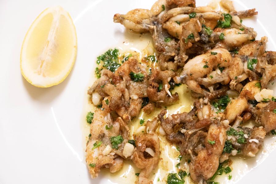 grenouilles fraîches