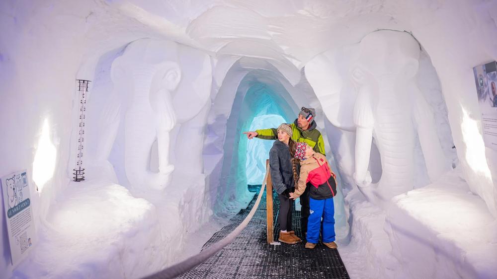 Safari glacé à 2700m_Alpe d'Huez